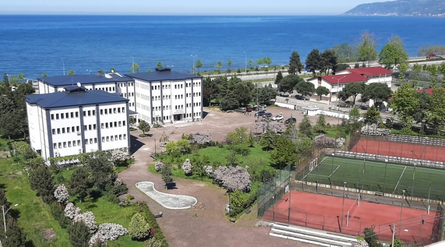 Beşikdüzü Emlak Ofisi: Trabzon'un Sakin Limanı